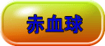 赤血球 
