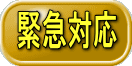 緊急対応
